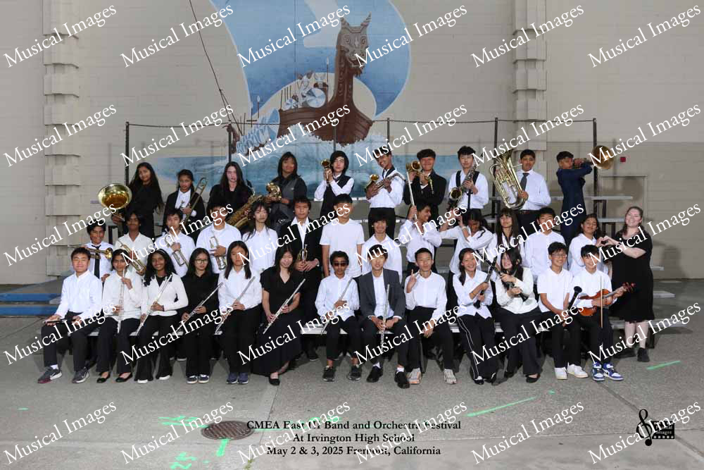 Musical Images